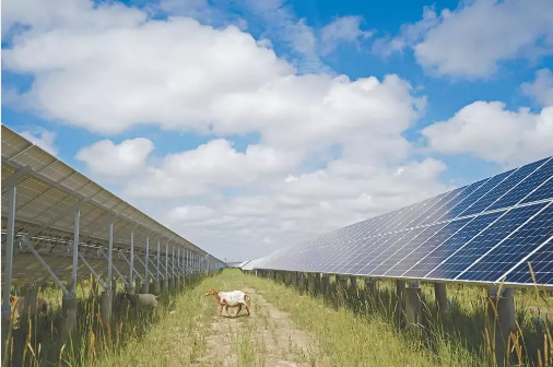 湖北KU酷游官网绿色能源有限公司